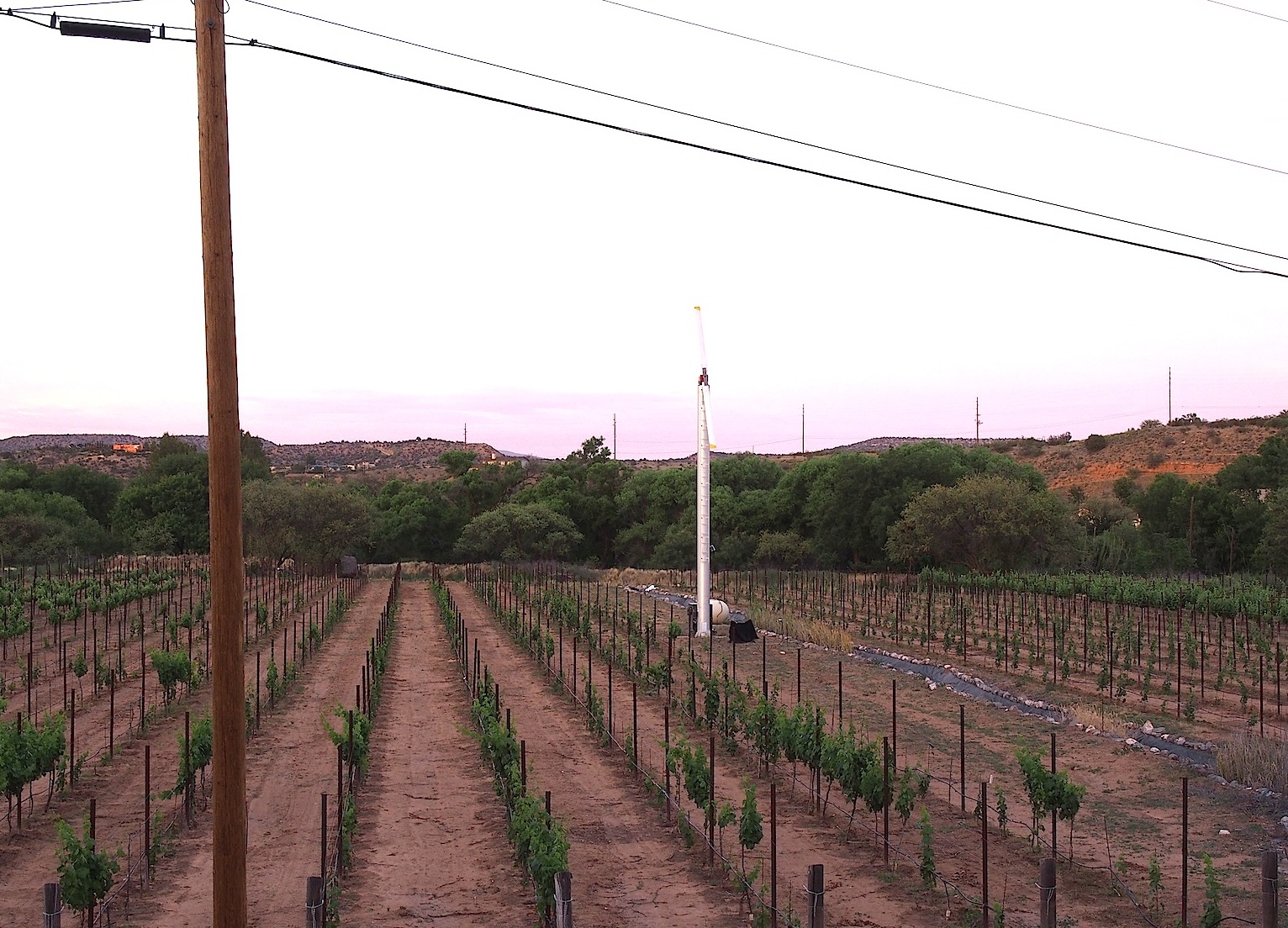 Maynard james keenan vineyard sales