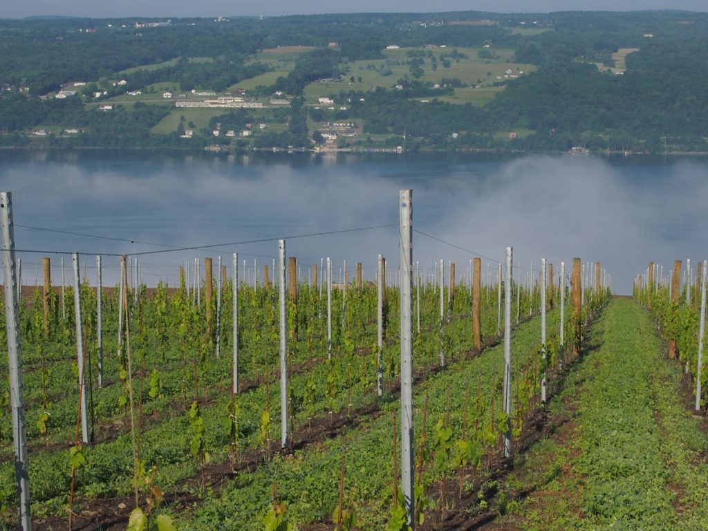 Fog over Seneca Lake